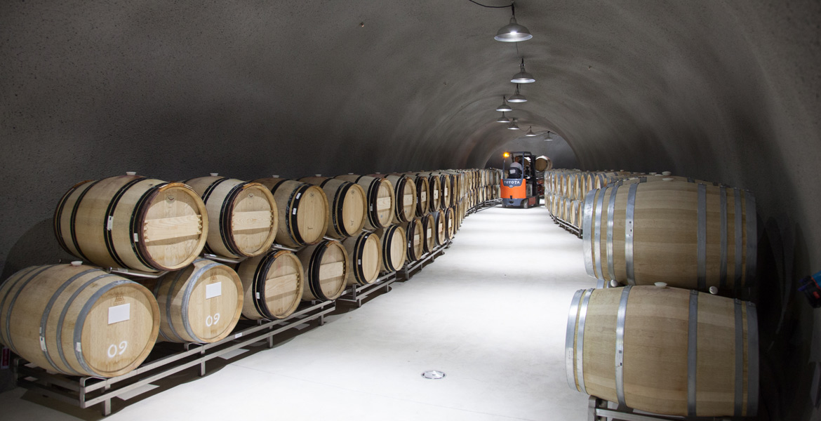 Paso Robles Wine Country Photographer - Halter Ranch Wine Caves - Studio 101 West Photography